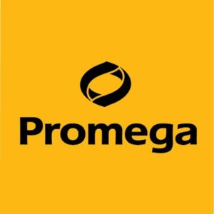 SEO & User Experience for Promega