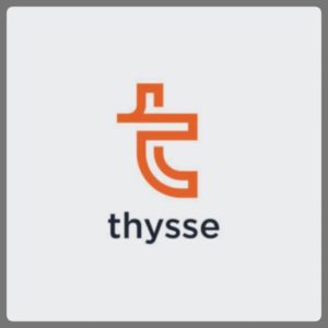 Website Assessment & Adwords for Thysse